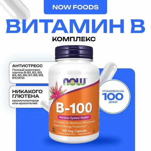 ���� NOW �-100, �������� ��������� ������ �, 100 ������ ������ ������
