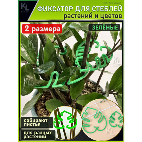���� KoLeli / �������� ��� ����� ������� � �������, �������� �����, ������� ������ ������