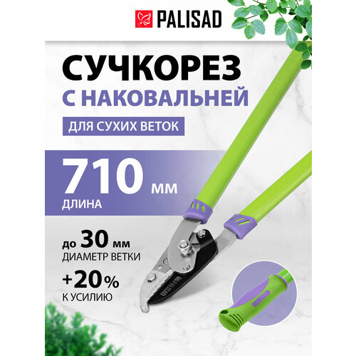 ���� ��������  PALISAD 60520 710 ������ ������
