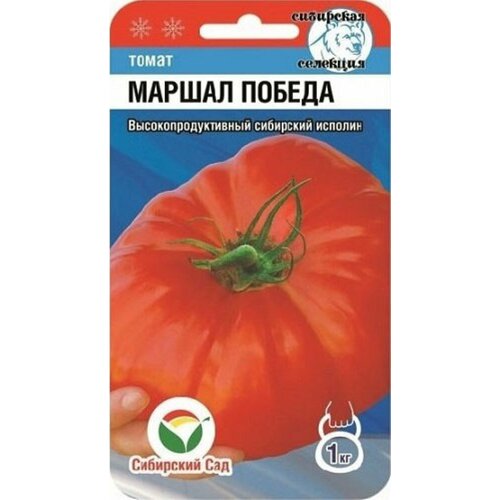 ���� ������ ����� ������ ������ 20�� ����� (��������� ���) ������ ������