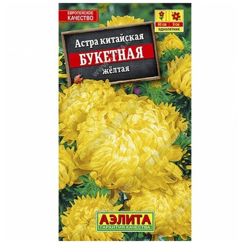 ���� ����� �������� ������ ������ ������