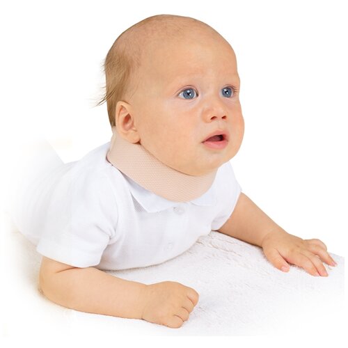 ���� ORTO ������ ������ ��� ��� ������������ � �������������, ������ 2, ������3.4 ��, ����� 32 ��, ������� ������ ������