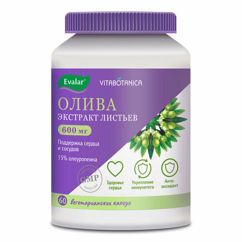 ���� ������ ������������ �����, 60 ������, ������ ������ ������