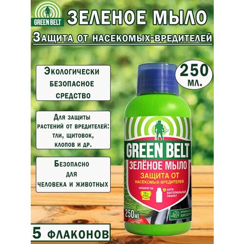 ���� ������� ���� Green Belt, ��� ��������, ������ �� ���������, 250��, 5 �������� ������ ������
