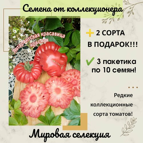 ���� ����� ������������ ��������� �������, ������� ��������, ������ �� ������������� ������ ������