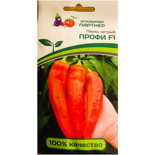 ���� ������ ����� ������� 