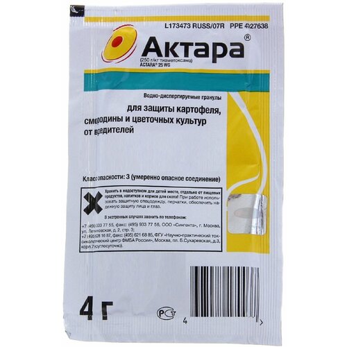 ���� �������� AVGUST ������ ��� ������ ���������, ��������� � ��������� ������� �� ����������, ����� 4 � ������ ������