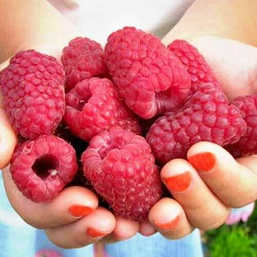 ���� ������ ������������ ������ ������ ������ ������