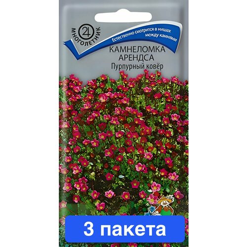 ���� ����� ���������� ������� ��������� ����� 3 ������ ������ ������