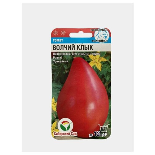 ���� ����� ������ ���� ������ ������