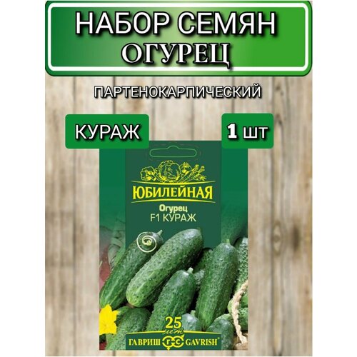 ���� ������ ������ ������ ������������� (������������������) ����� F1, 1�� - 25�� ������ ������