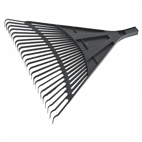 ���� ������ ������� �����������, 600 ��, 24 ������� ����, ��� �������, ������, ������� ������ ������