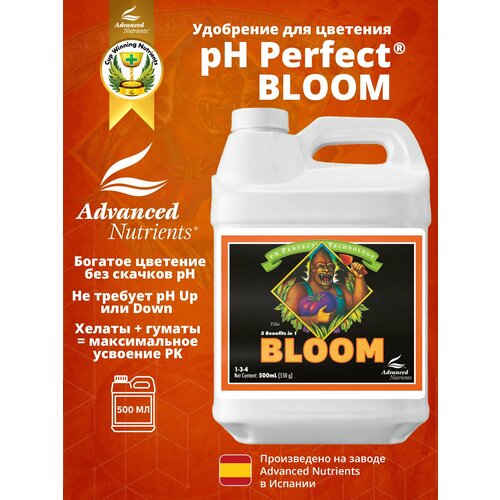���� PH Perfect Bloom ������ ������