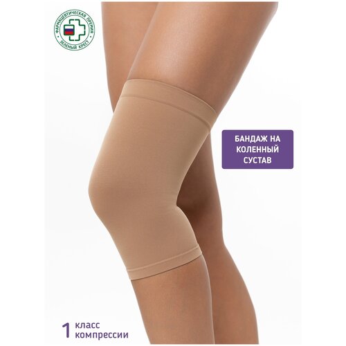 ���� ������ ������ �� �������� ������ 1-� ����� ����������, ������ L, ������� ������ ������