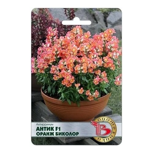 ���� ���������� ����� F1 ����� ������� , ����� 20 �� ������ ������