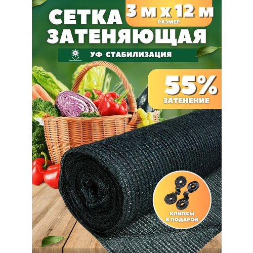���� ����� ���������� �������, ��������� 55%, ������ 3�12� ������ ������