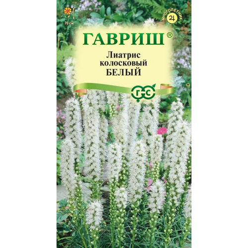 ���� ������� ����� , ����������� ( 1 �� : 0,05 �) ������ ������