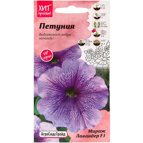 ���� ������ ������� ����� �������� F1 10 ��, ������� ��������������, ������ ���������� ������ ��� ������� � ����, ���������� ��������� ����� ��� ������� ������ ������