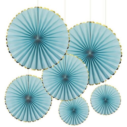 ���� ����� �������� ������, �������/�������, 6 ��, ��� ��������� ��������� ������ ������