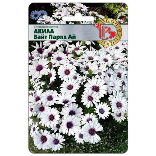 ���� ������ ������������� 