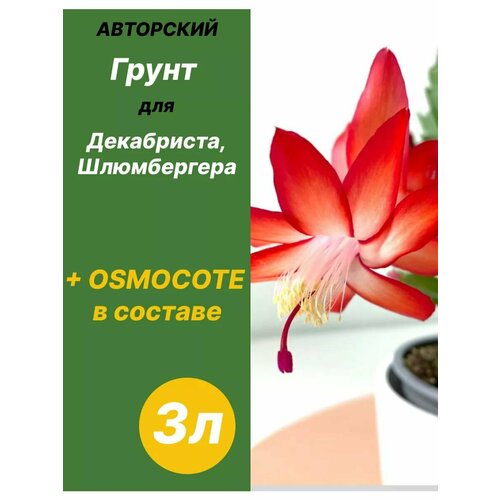 ���� ����� ��� ����������, �����������, �������������� 3� ������� ������ ������