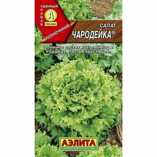 ���� ������ ����� ��������� ��, ������������ (������) 0,5� ������ ������