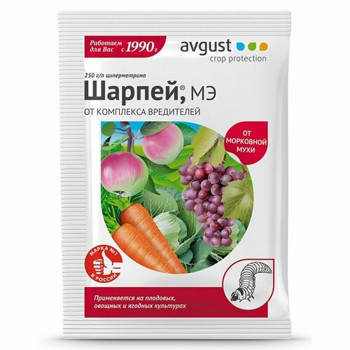 ���� ���������� AVGUST 