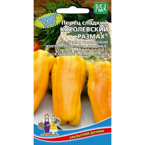 ���� ������ ����� ����������� ������ 20�� (��������� ������) ������ ������