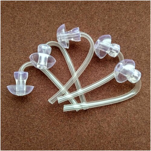 ���� ������� ����� ����������, �� ���, ������ �3, ��� ��������� ��������. ����� 5 ����. ������ ������