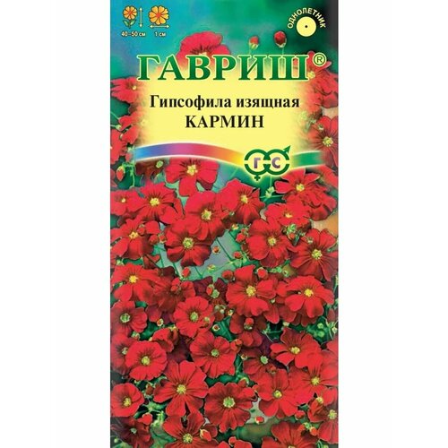 ���� ��������� ������� ������ ������ ������