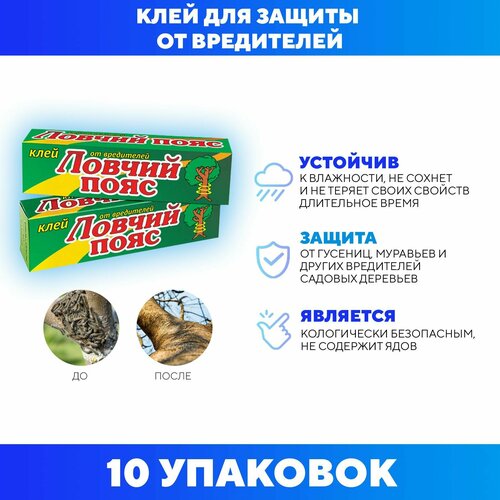 ���� ���� ������ ���� ��� ������ �������� �� ������� ����������, ���� ���������, 135 �� ������ ������