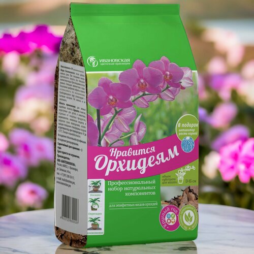 ���� ����� ��� ������� ��������� 2� / 1��. ���������� ��������� ���������. ������ ������