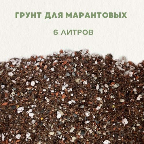 ���� ����� ��� ������� , ��� ��������. ������������� ����� ��� ����������. ����� ��� ������ ��������� . 6 ������. ������ ������