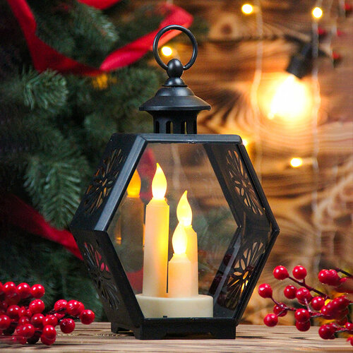 ���� ���������� ���������� ������������ 