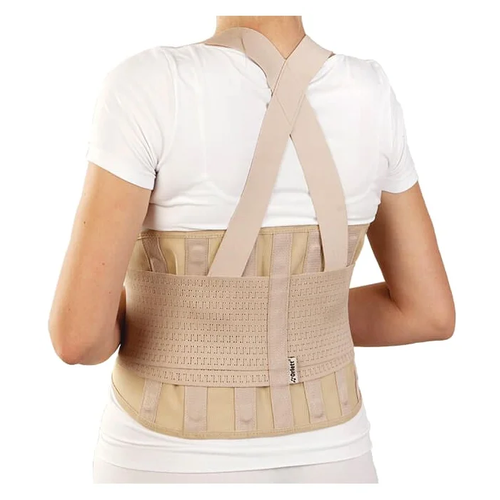 ���� ������ Orlett IBS-3006, ������ L, ���� �������������, ������ 24 ��, ������� ������ ������