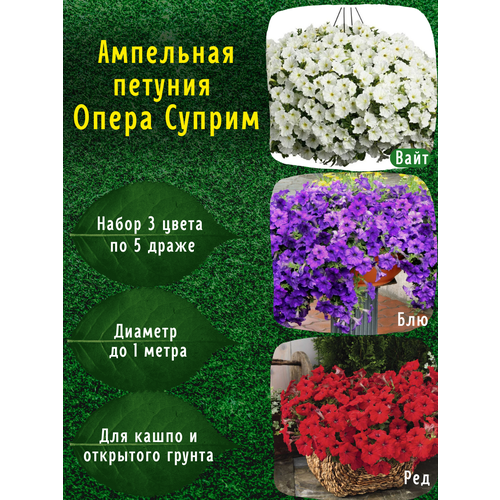 ���� ��������� ������� ���������������� ������ ����� ������ ����, ���, ��� �� 5 ����� ������ ������