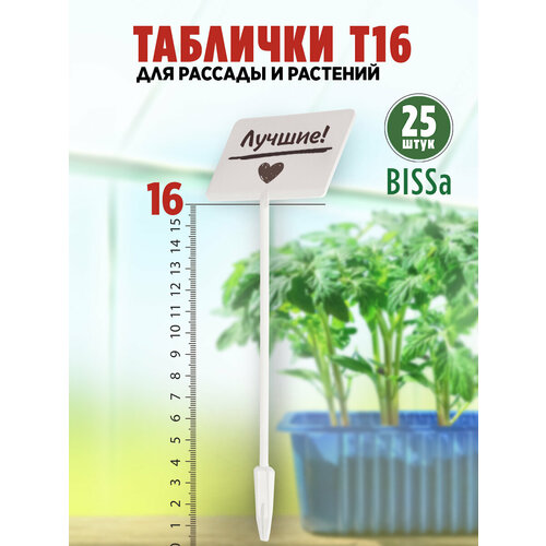 ���� ������� �������� ��� ������� � ��������, Bissa �16, �����, 25 �� ������ ������