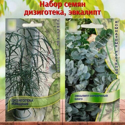 ���� ������ ������ ��� ���� �������� � ���������� ����� 2 ��. ������ ������