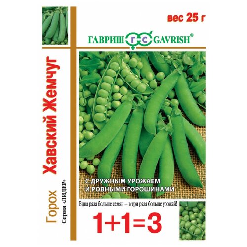 ���� ������ ������ ����� 1+1 