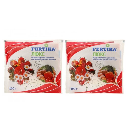 ���� ��������� ����������� ������� ���� (���� 100�), 2 ��. ������ ������