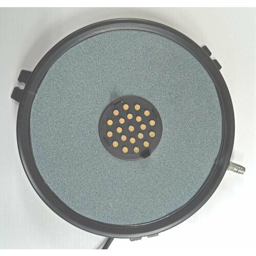   -    BL-08  . 21LED   -     , -, 