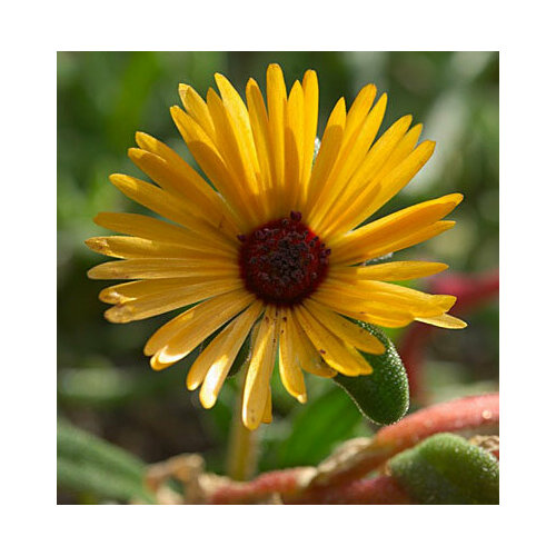 ���� ������ ������ ����������� ����� (0,1 ��.) ������ ������