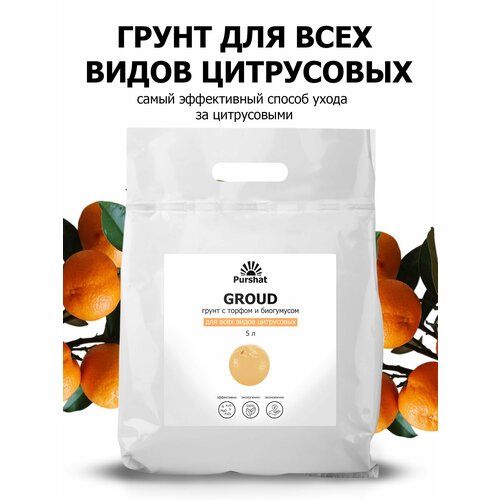 ���� ����� (�����) ��� ���������� (�����, ��������, �������) ������. ����������� ���������� � ������ � ���������� (Purshat) 5 � ������ ������