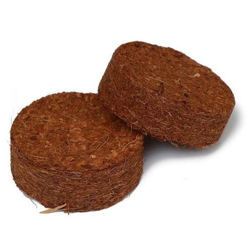 ���� Greengo �������� ��������� 4 �� ��� ��������, 4 ��, 10 ��., ���������� ������ ������