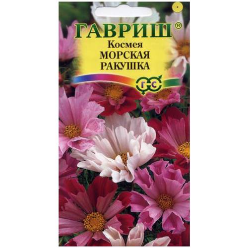 ���� ������, ������ ������� �������, �� 0,3 � ������ ������