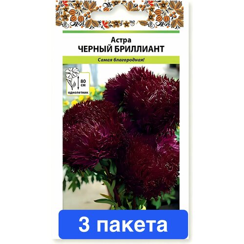 ���� ������ ������ ������� ������ 