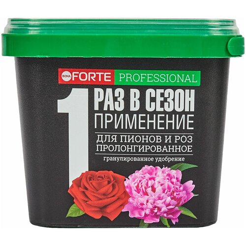 ���� ��������� ���� ����� ��� ������ � ��� � ��������, 1 � ������ ������