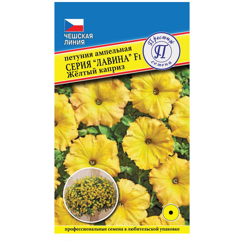 ���� ������/������� ������/ ������ ������ ������� ��������� ������ ������ ������ F1 ������ ������