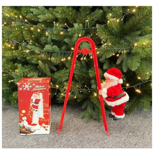 ���� ������� ��� ����� ������������� ���������� ������ ������