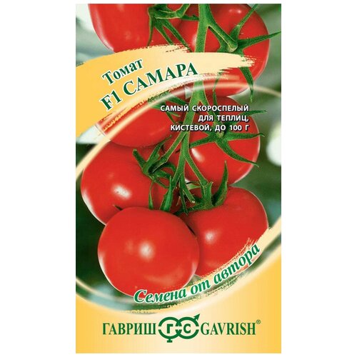 ���� ������, ����� ������ F1 12 ����� ������ ������